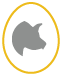 2.000 Porcas Reprodutoras